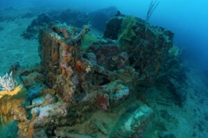 The Top Six Best Dive Sites Of Solomon Islands